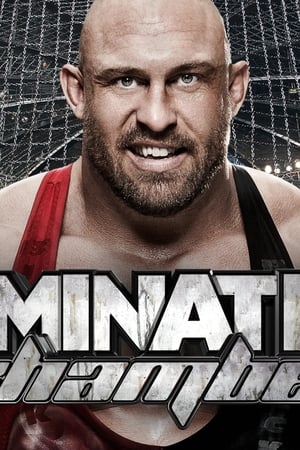 WWE Elimination Chamber 2015