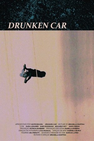 Drunken Car