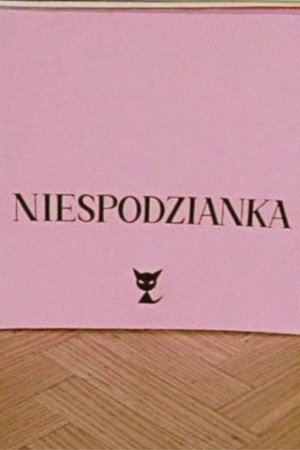 Niespodzianka