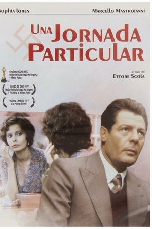 Un día especial