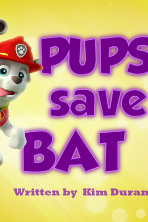 Tlapky zachraňují netopýra