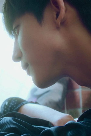Is Missing You a Habit or Destiny?