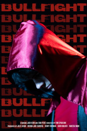 Bullfight