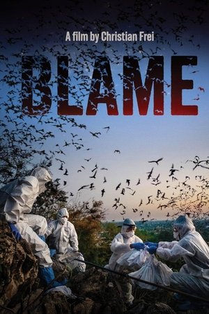 Blame – Bats, Politics and a Planet out of Balance…