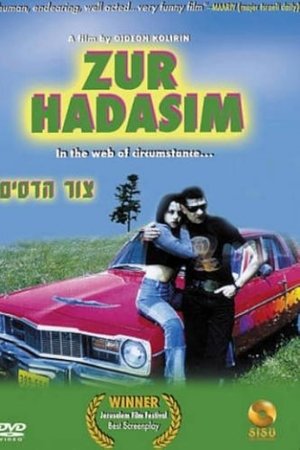 Zur Hadasim