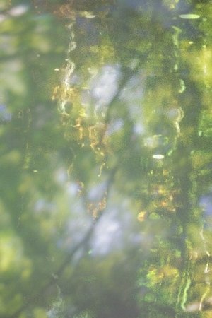 Printemps