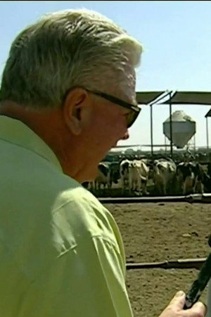 Dairy Farm