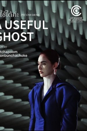 A Useful Ghost