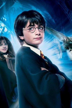 Harry Potter a Kámen mudrců