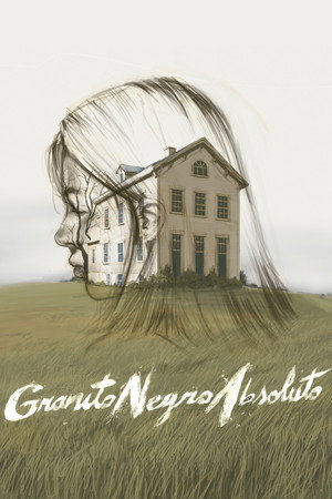Granito Negro Absoluto