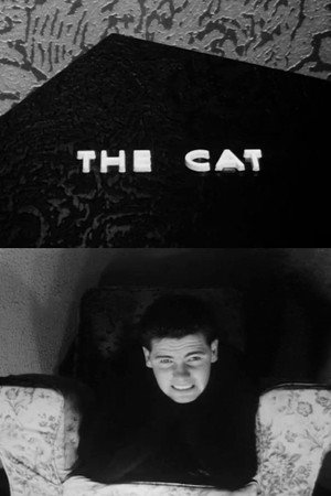 The Cat