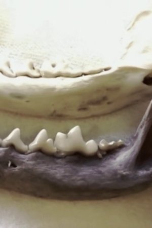 1. epizoda