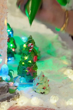 Holiday Light Show