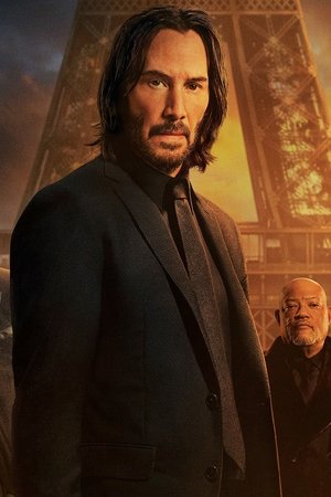 John Wick: Kapitola 4