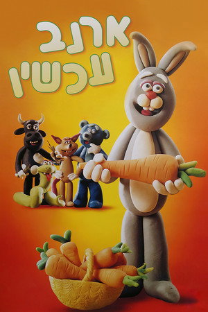 ארנב עכשיו