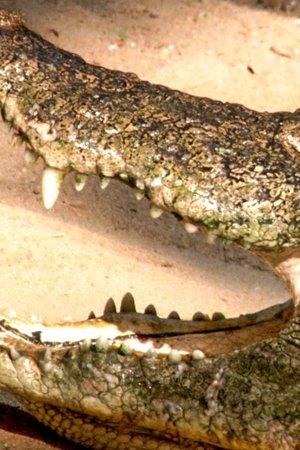 9. epizoda