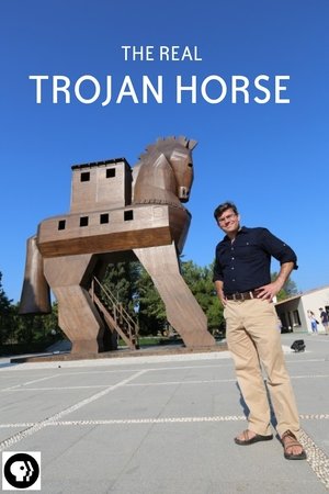 Secrets of the Dead: The Real Trojan Horse