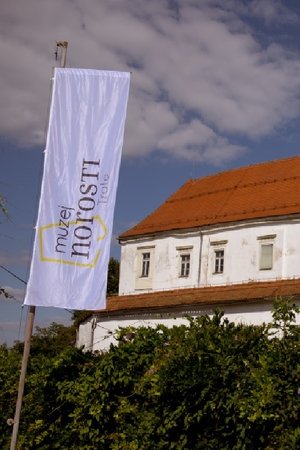 Muzej norosti