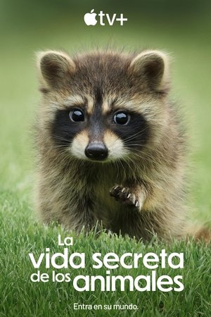 La vida secreta de los animales