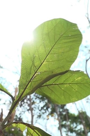 28. epizoda