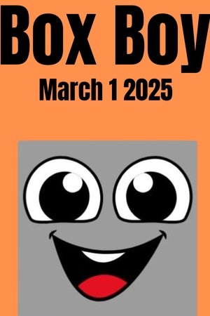 Box Boy
