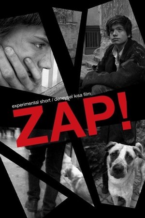 Zap