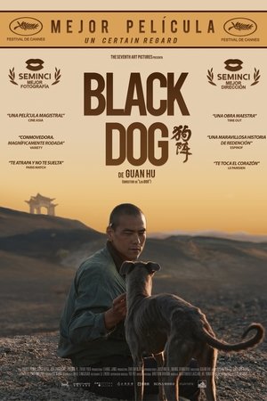 Imagen de Black Dog