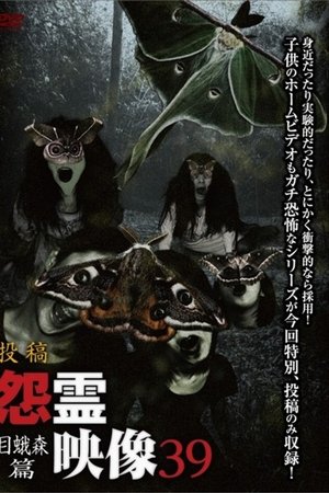 Posted Grudge Spirit Footage Vol.39: Eye Moth Forest Edition
