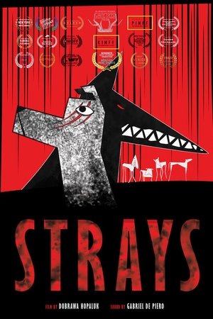 STRAYS