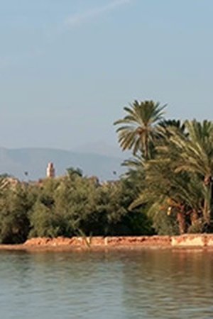epizoda