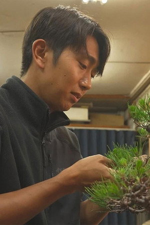 Bonsai Village: Growing a Small Universe in a Pot