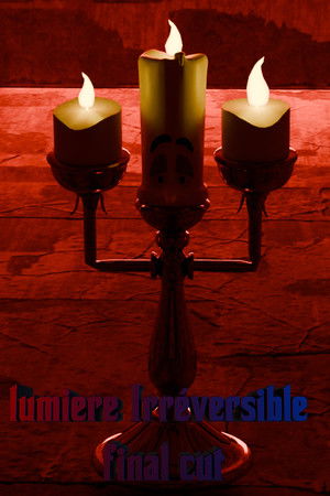 lumiere Irréversible final cut