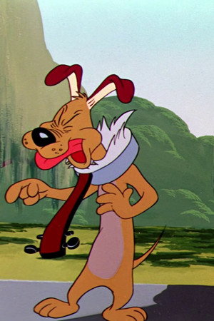 Dog Gone South