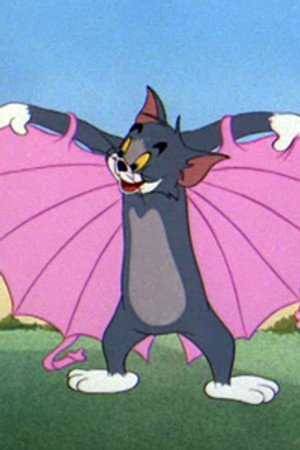 The Flying Cat