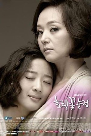 호박꽃 순정