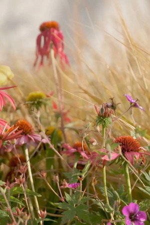 Episode 3 Summer: Arid Botanic Garden & Home Orchard