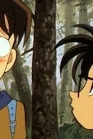 Episode 228