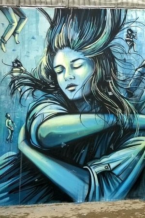 I muri di Alice