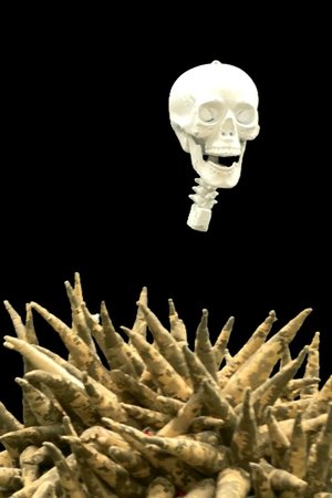 Slut in the Military Circus