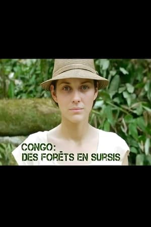 Congo: Des forêts en sursis