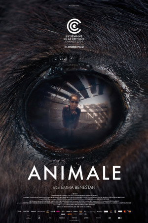 Animale