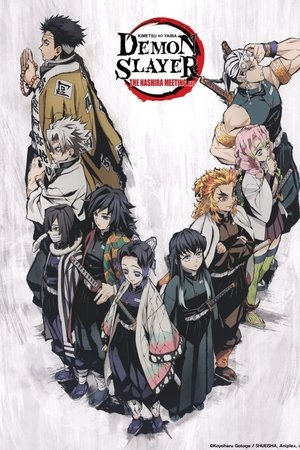 Demon Slayer: Kimetsu no Yaiba – The Hashira Meeting Arc