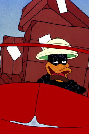 Mexican Joyride