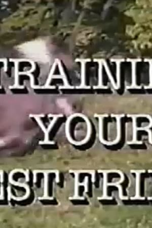Training Your Best Friend