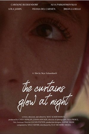 The Curtains Glow At Night