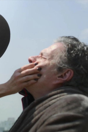 Alegrías y venganzas