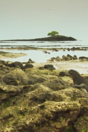 43. epizoda