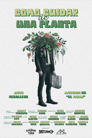 How to care for a plant