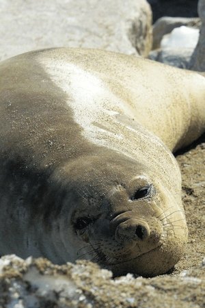 7. epizoda
