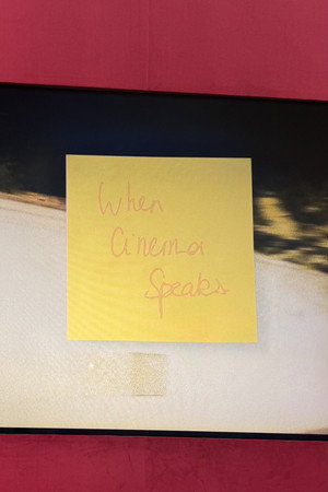 WHEN CINEMA SPEAKS...